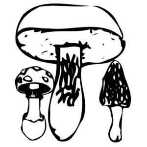 shrooms Design