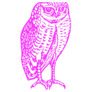 Owly the Owl Design